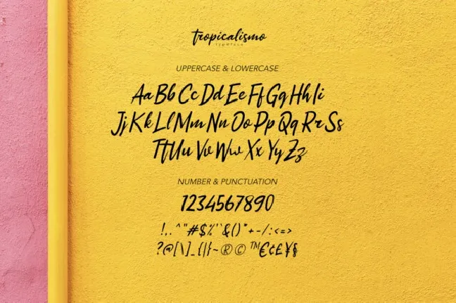 Tropicalismo font