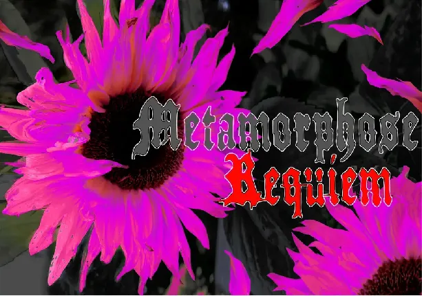 Metamorphose Requiem font