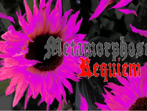 Metamorphose Requiem font