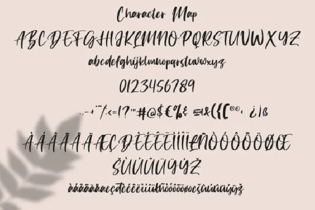 Giovanetta Bold Handwritten font