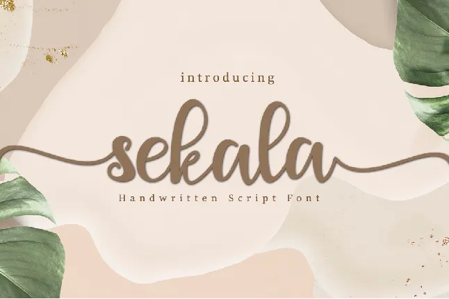 23 - Sekala font