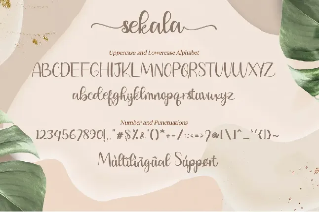 23 - Sekala font