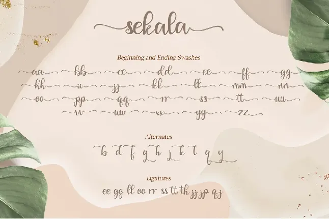 23 - Sekala font