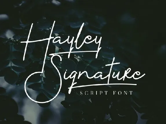 Hayley Signature font