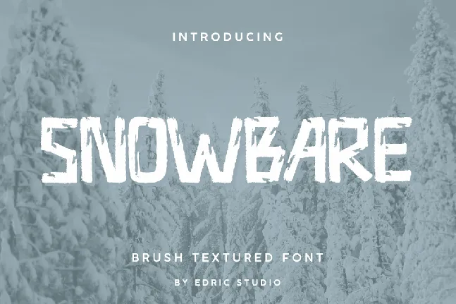 Snowbare font