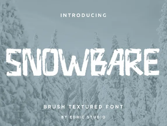 Snowbare font