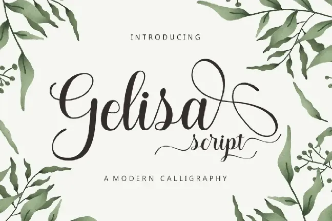 Gelisa font