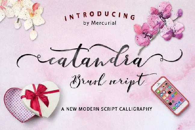 Catandra Brush Script font