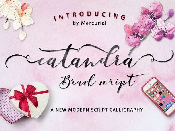 Catandra Brush Script font