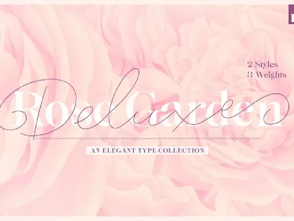 Rose Garden Duo font