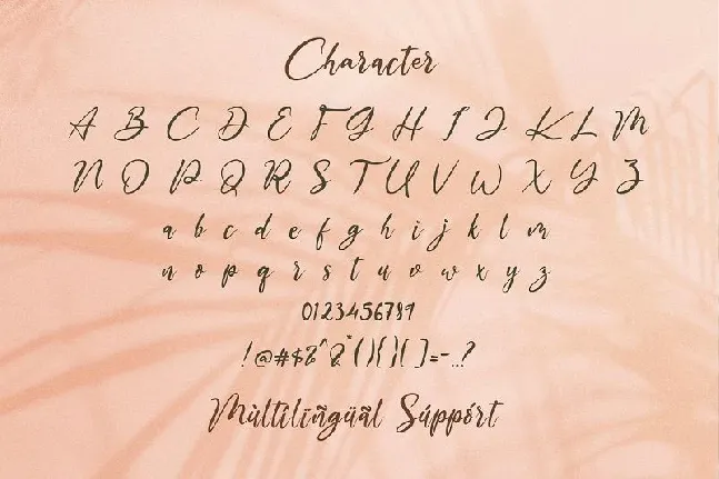 The Austin Handwritten Script font