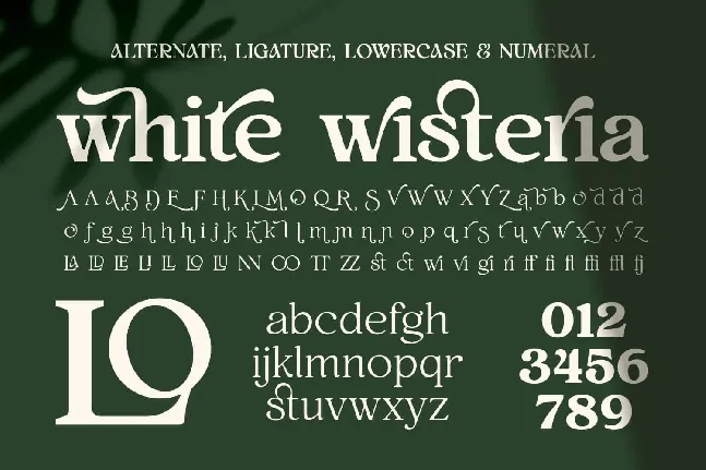 White Wisteria font