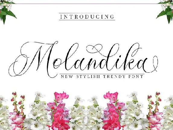 Molandika Calligraphy font