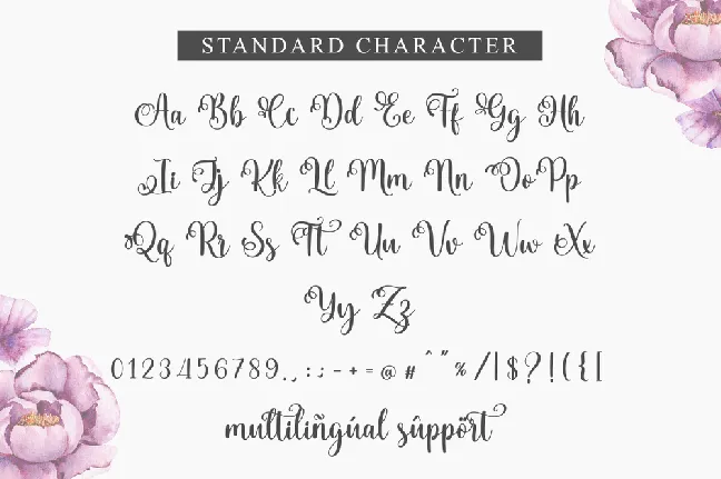 Aceglade_DEMO font