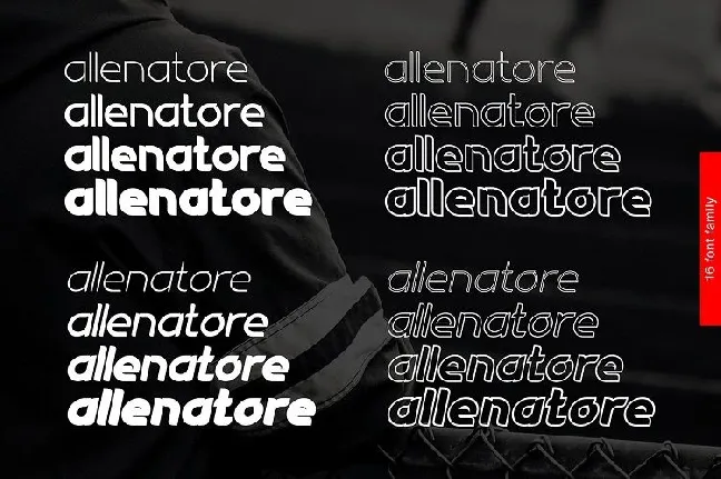 Allenatore Family font