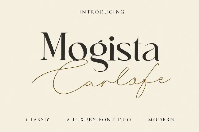 Mogista Carlofe Duo font