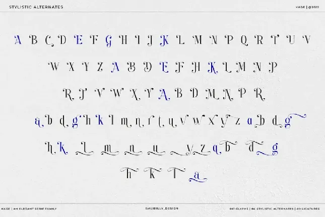 KAGE_DEMO_FONT