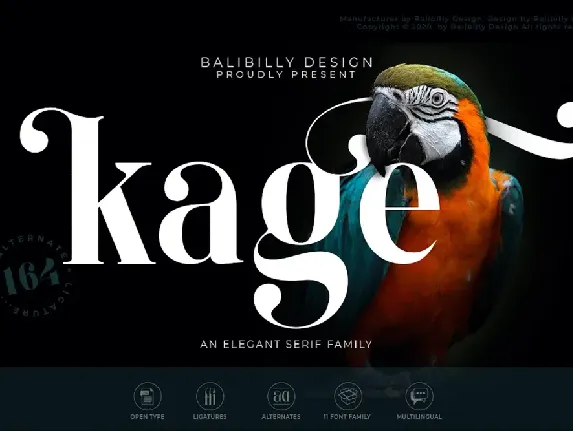 KAGE_DEMO_FONT