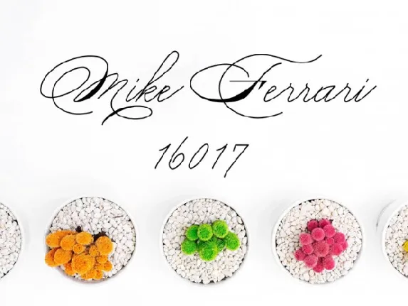 Mike Ferrari 16017 font