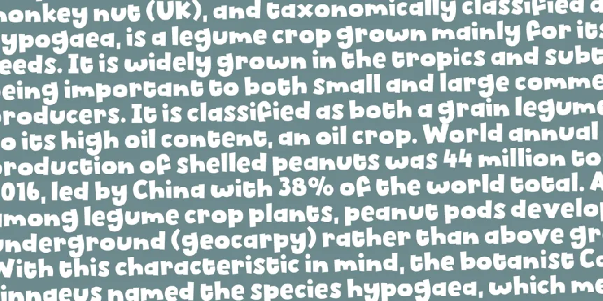 Biscuit Kids DEMO font