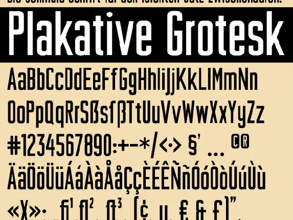 Plakative Grotesk font