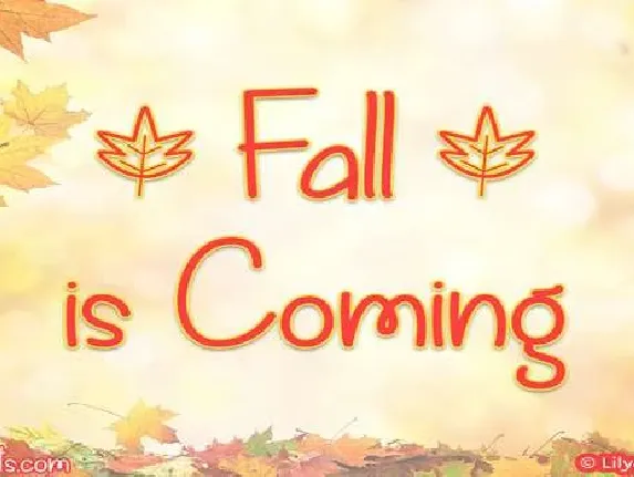 Fall is Coming font