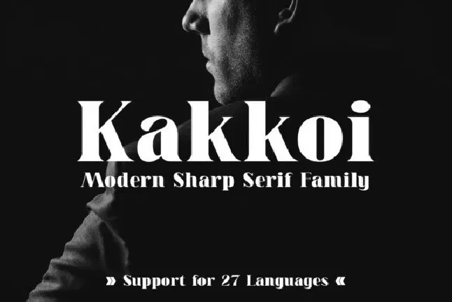 Kakkoi Serif font