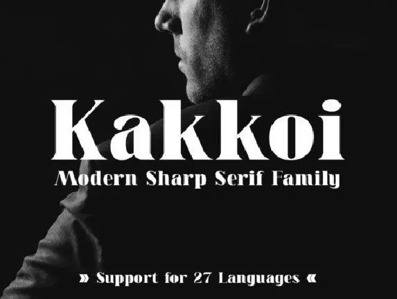 Kakkoi Serif font