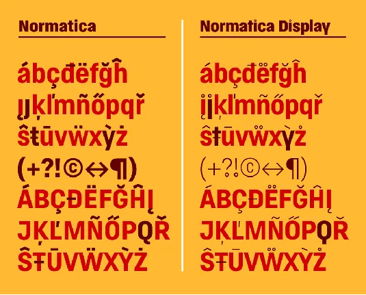 Normatica & Normatica Display Typeface font