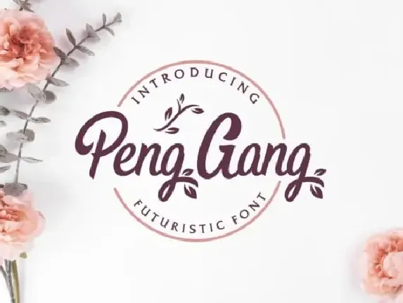 Peng Gang font