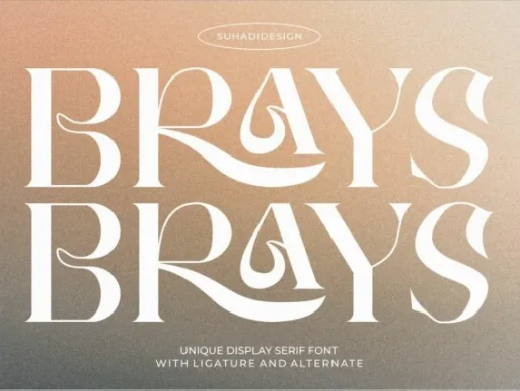 Brays Typeface font