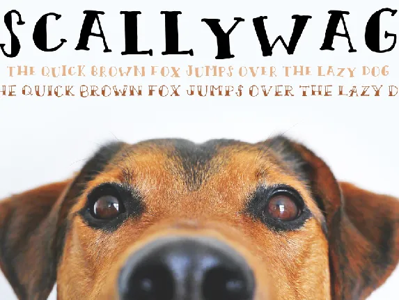 Scallywag font