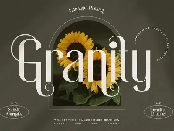 Granity font