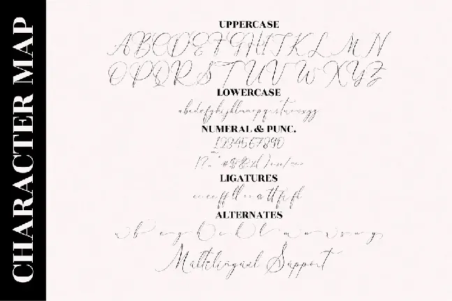 Pattricia Michella font