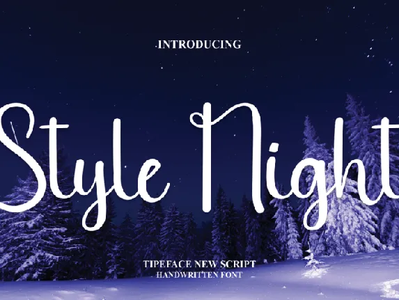 Style Night font