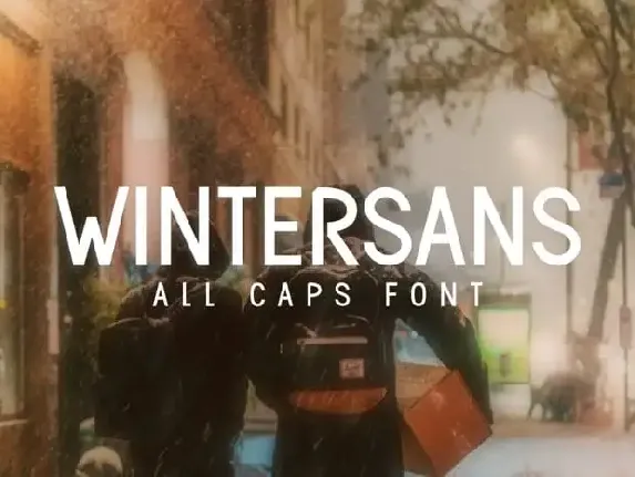 Wintersans Sans Serif font