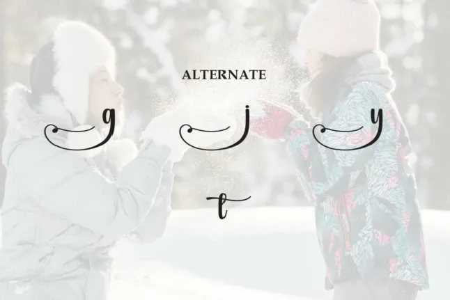 Wintery Script font