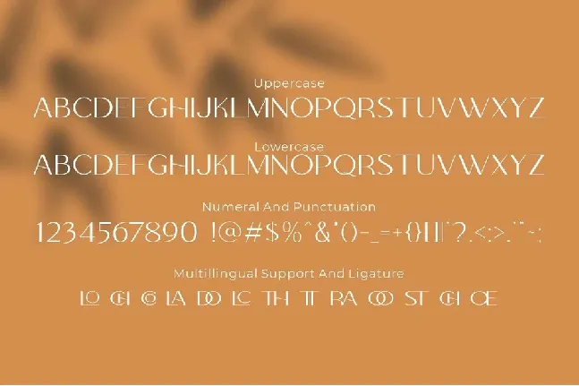 Colabero font