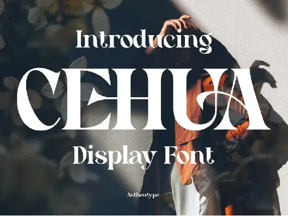 Cehua Serif font