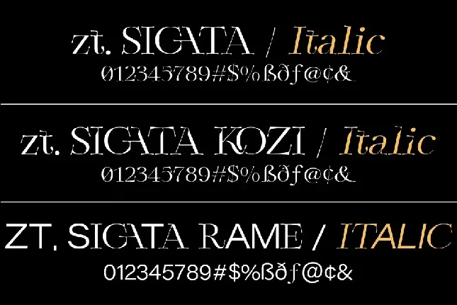 Zt Sigata font