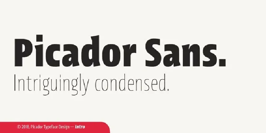 Picador Sans Family font