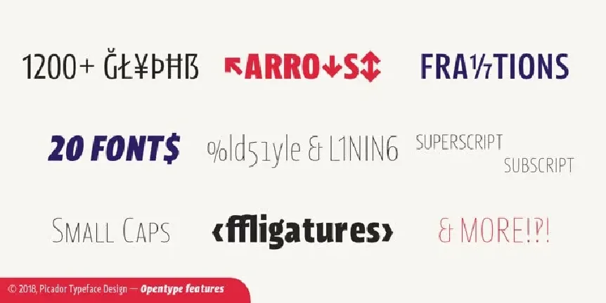 Picador Sans Family font