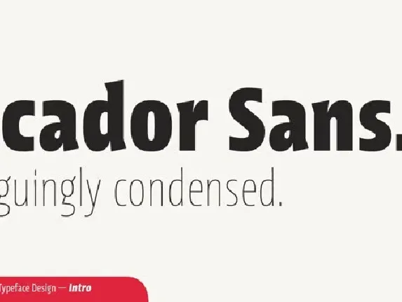 Picador Sans Family font