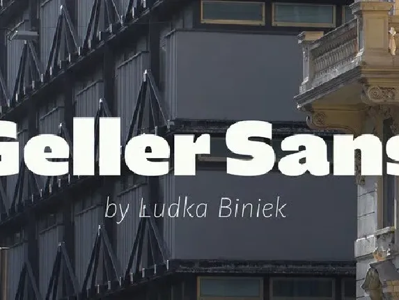 Geller Sans Family font