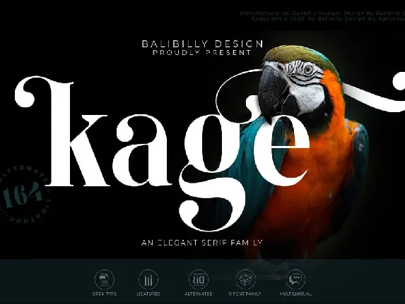 Kage Elegant Serif font