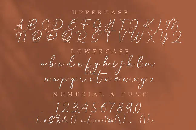 Estela Silva font