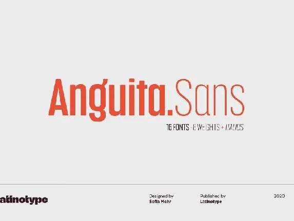 Anguita Sans Family font