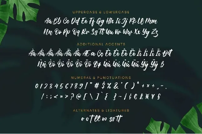 Bettawork font