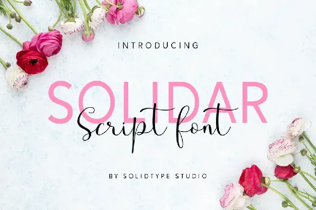 Solidar font