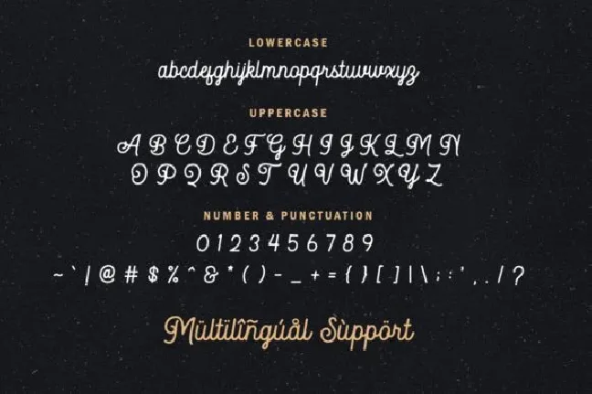 Autoguard Monoline font